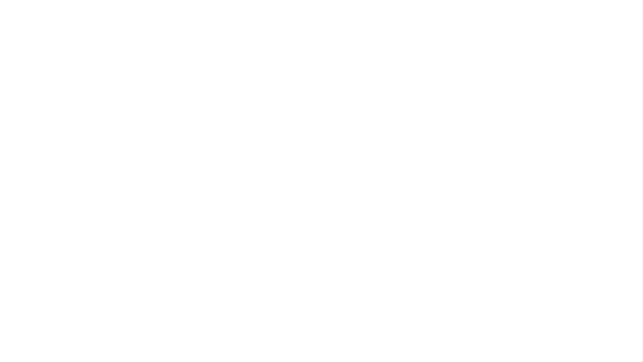Biral Logo weiss