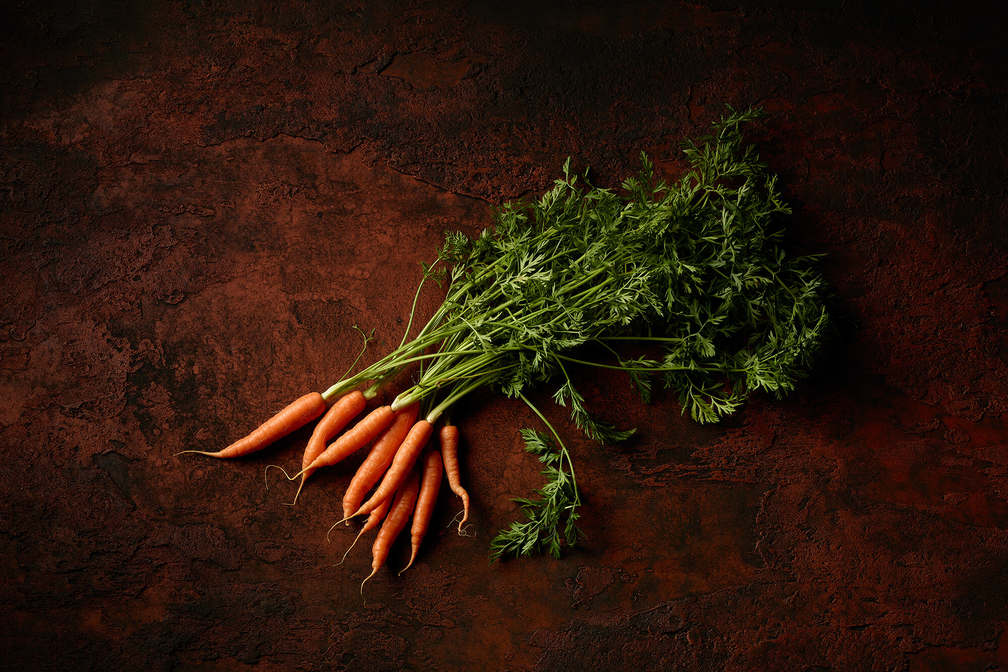 Karotten mit Grün auf rostigem Untergrund. Stimmungsbild für die Haberbüni in Bern Liebefeld.