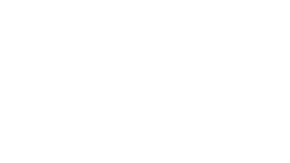 Stadt Bern Logo weiss