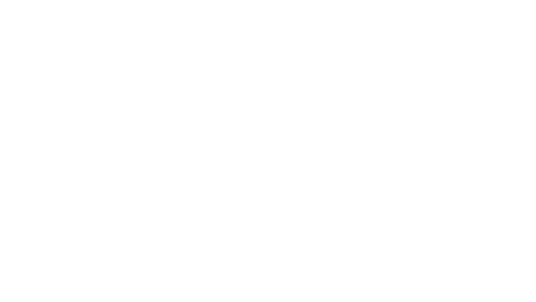 Freiburger Nachrichten Logo weiss