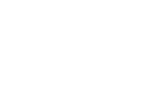 Introgarde Logo weiss